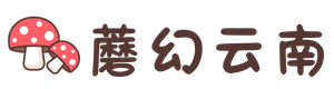 蘑幻云南