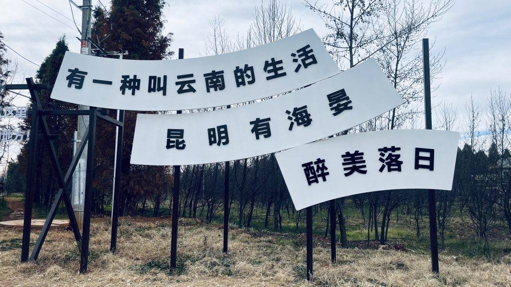 “捞鱼河国家湿地公园”是滇池边一处四季皆宜的宝藏地。-梦回云南