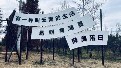 “捞鱼河国家湿地公园”是滇池边一处四季皆宜的宝藏地。