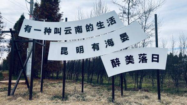 “捞鱼河国家湿地公园”是滇池边一处四季皆宜的宝藏地。