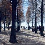 滇池红嘴鸥欣赏