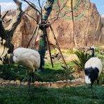 漫步昆明野生动物园，赴一场山野生灵之约