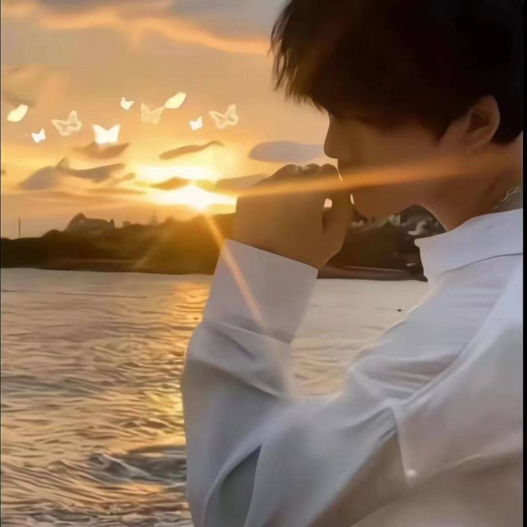 ▼黄画朝夕▲